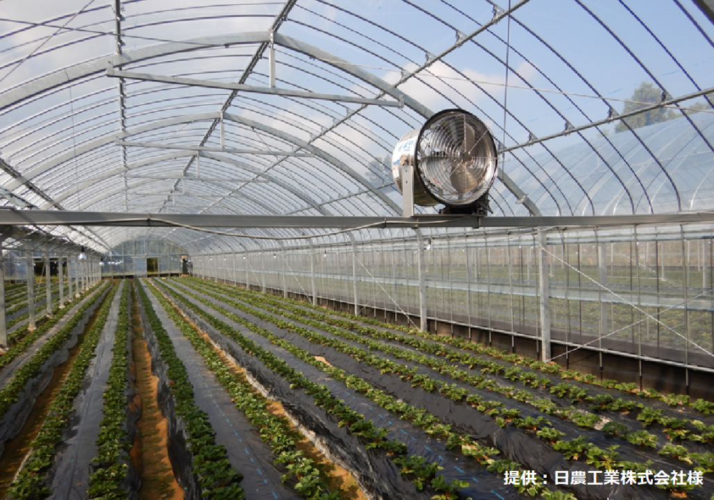 Ví dụ cài đặt Windland II